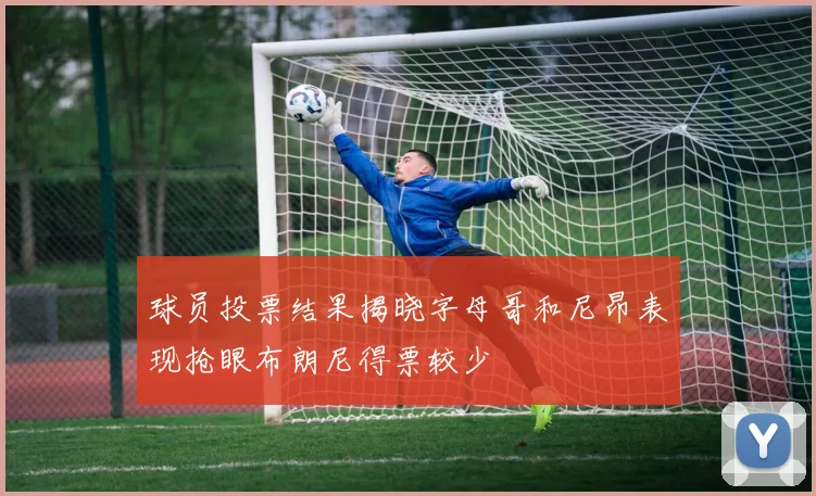 球员投票结果揭晓字母哥和尼昂表现抢眼布朗尼得票较少