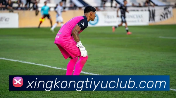 星空体育平台生态图