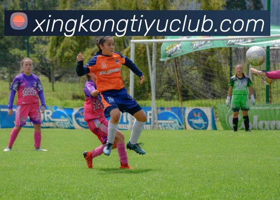 星空体育全站App